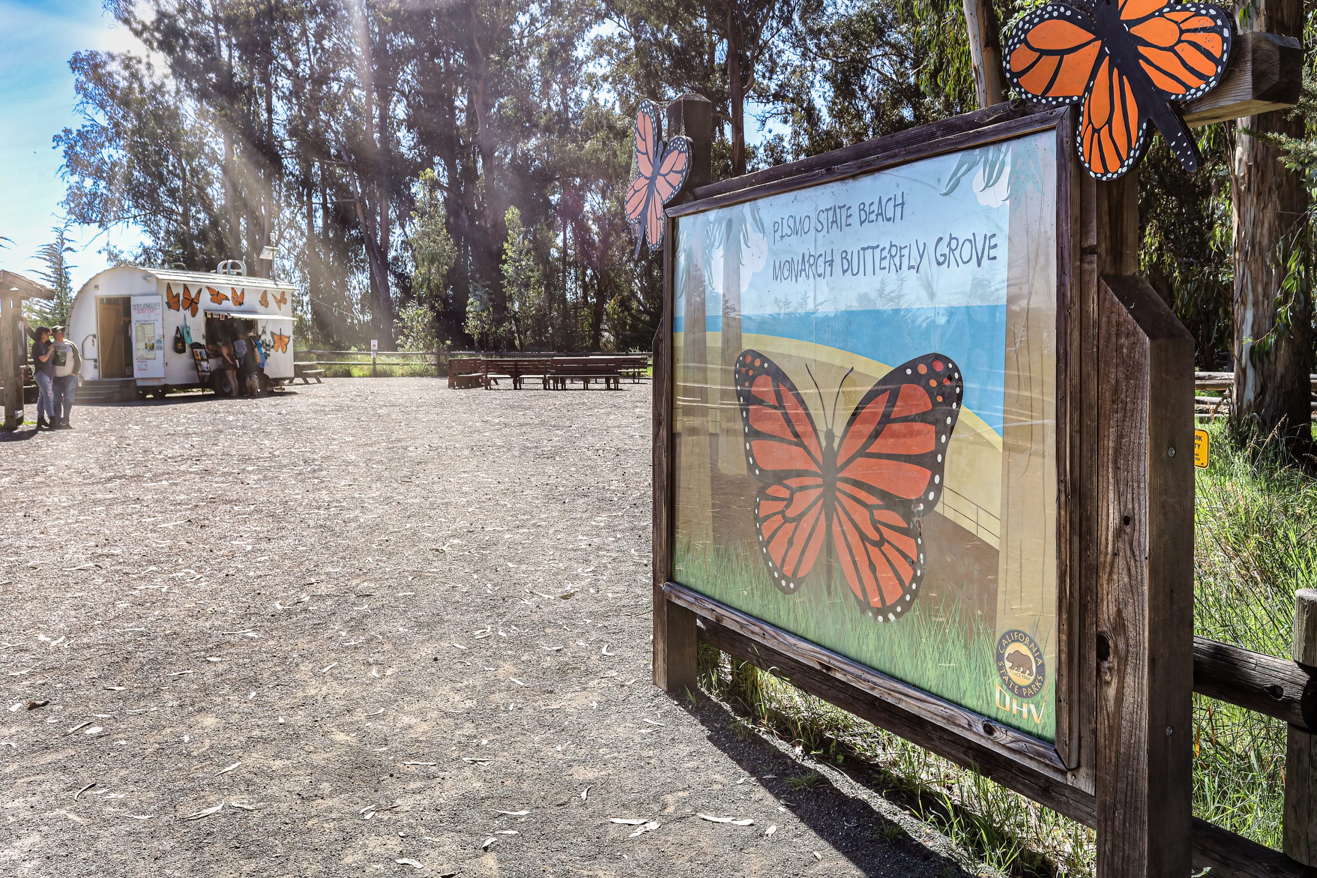 GroverMonarchGrove.04 Danna Joy Dykstra-Coy